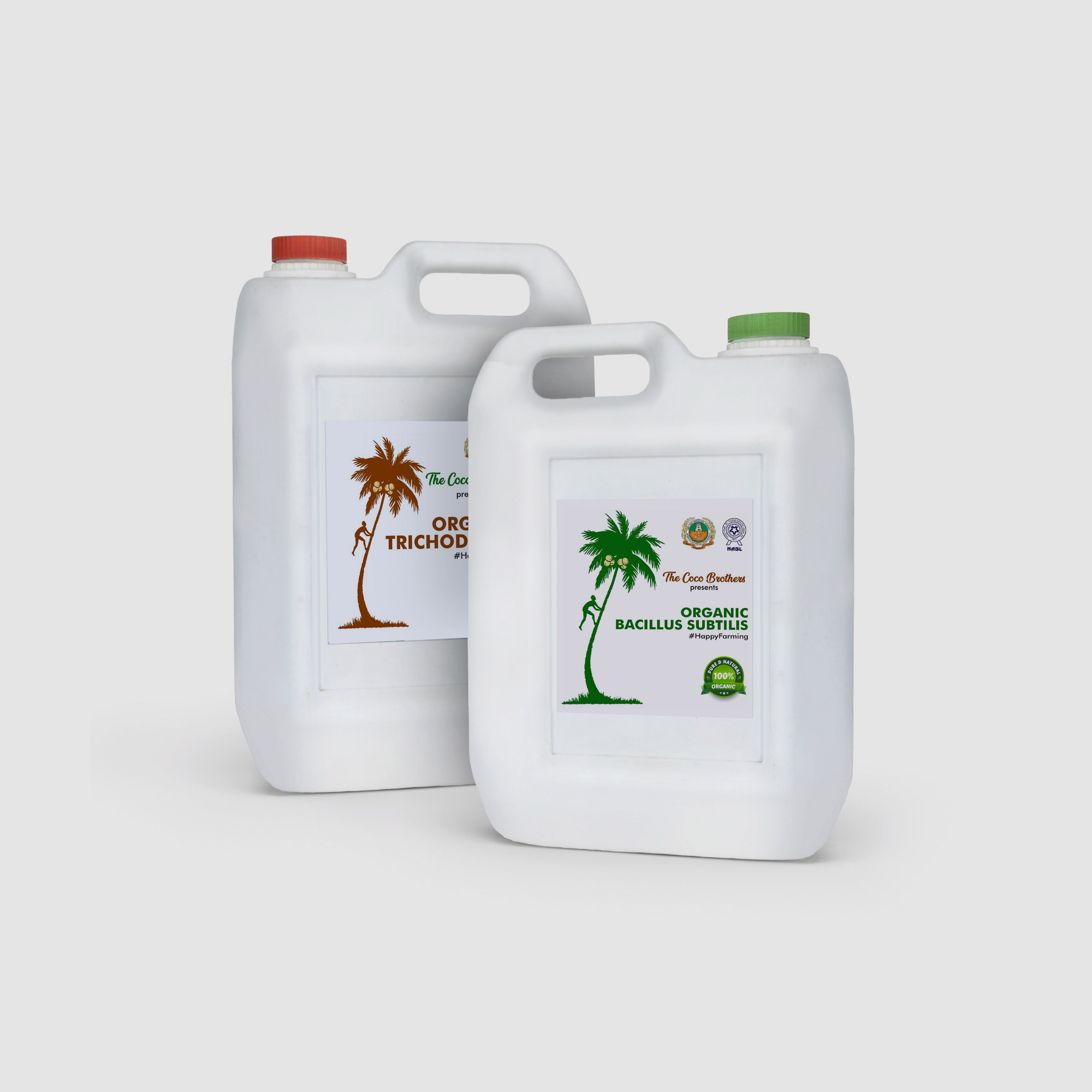 Wilt Disease ( தென்னை வாடல் நோய்)