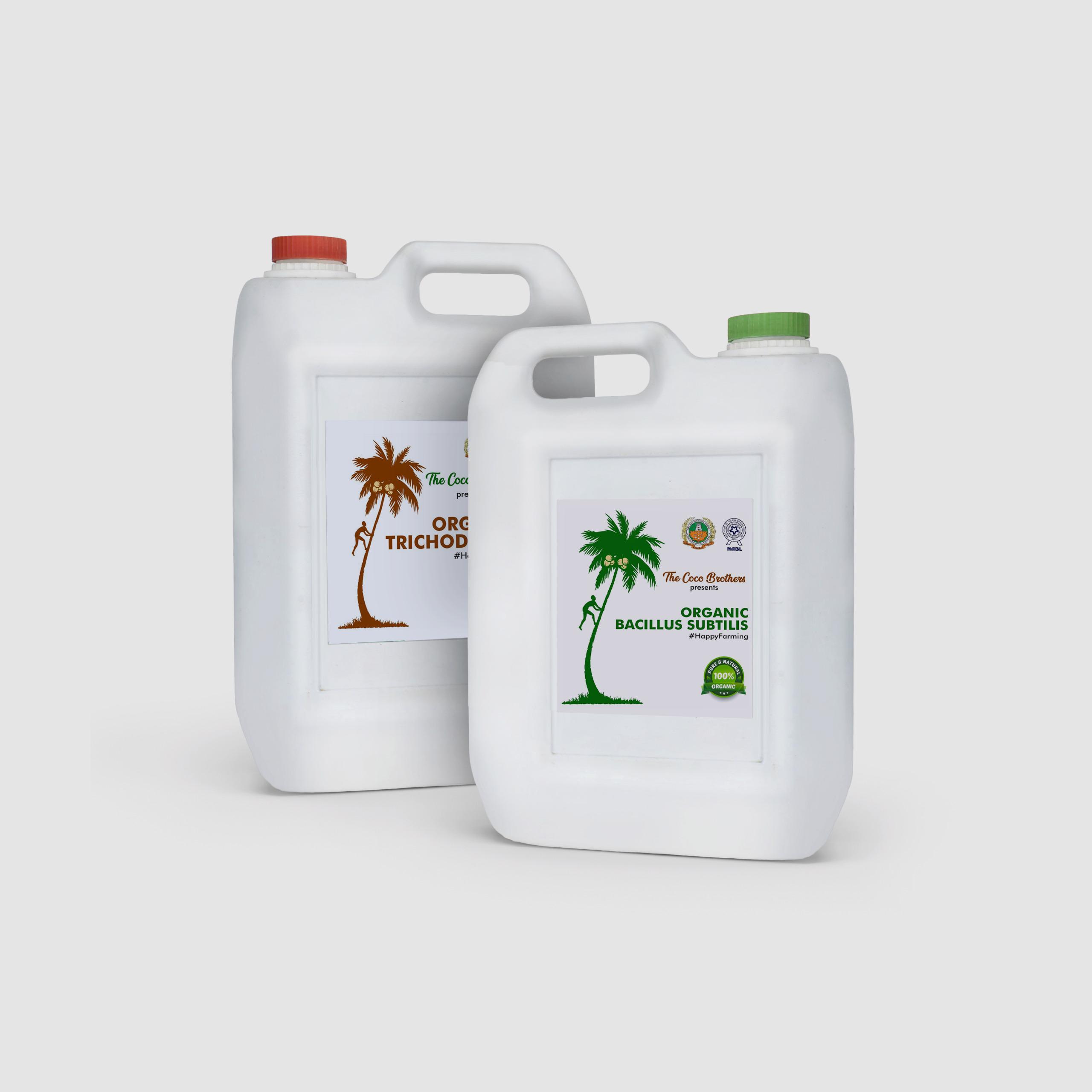 Wilt Disease ( தென்னை வாடல் நோய்)